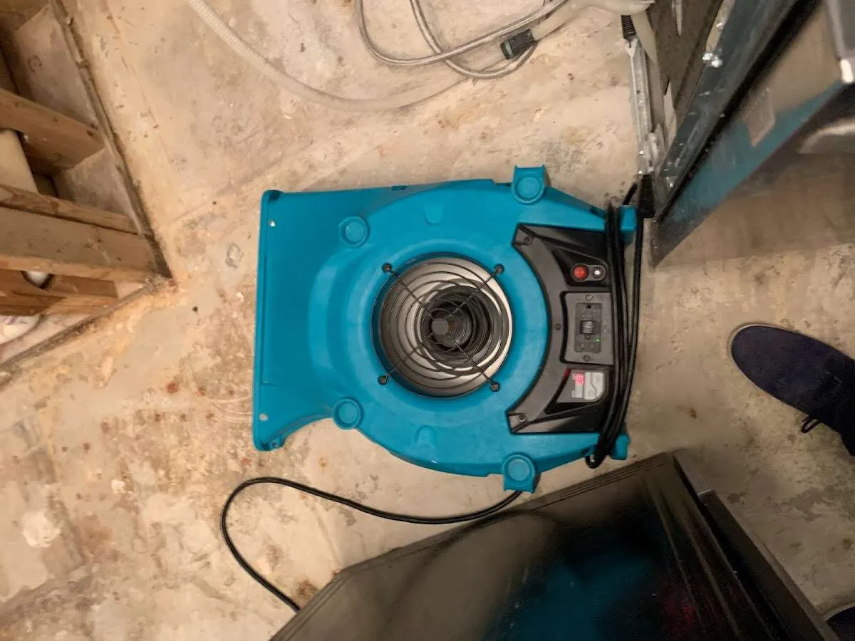 Air mover drying equipment for Mold Remediation & Removal in Plumsted