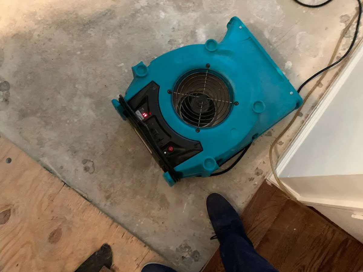 Air mover drying subfloor during Leak Detection & Repair in Plumsted
